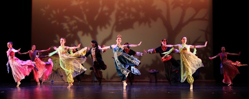 Classical and Contemporary Dance with Tamara Grose photo 4