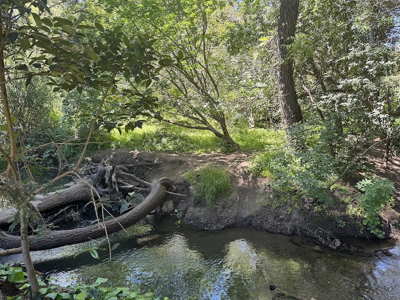 Shoup Park photo 5