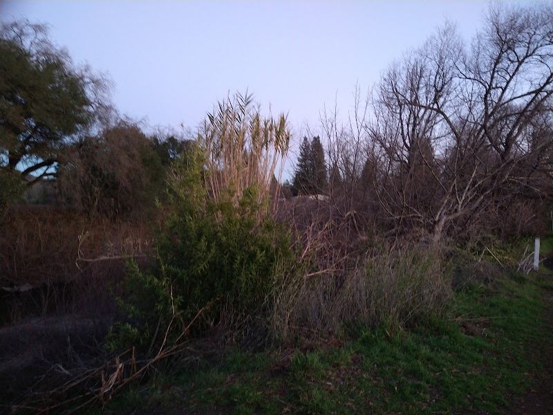 Walking Path photo 5