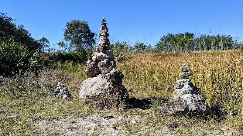 Photo of Balm Boyette Park