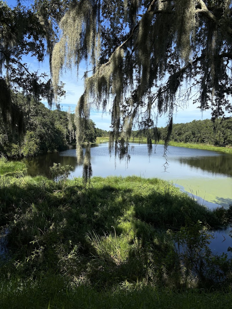 Balm Boyette Park photo 3