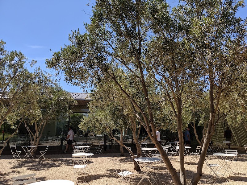 Fitness & Wellness Center | Apple Park photo 4