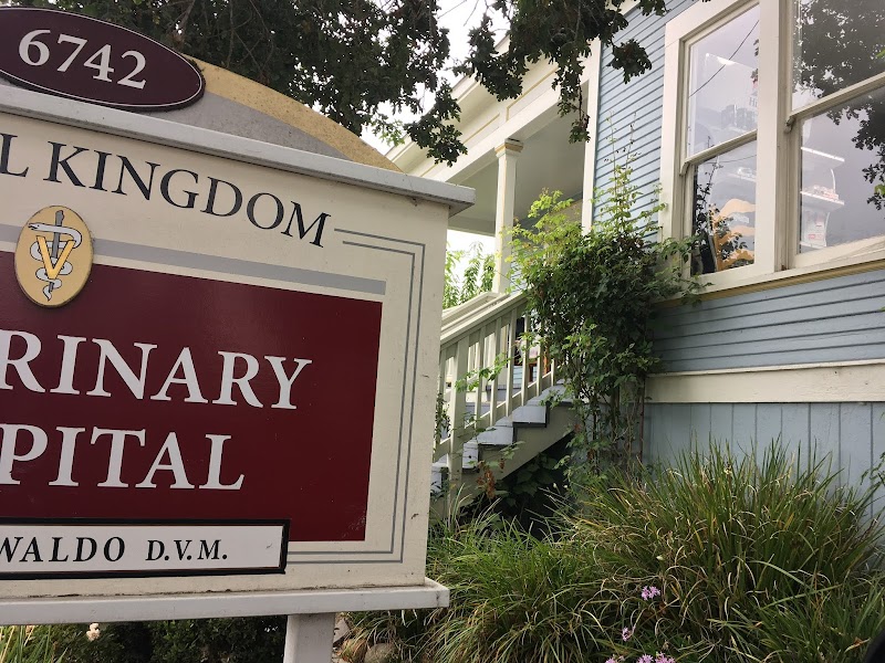 Photo of Animal Kingdom Veterinary Hospital
