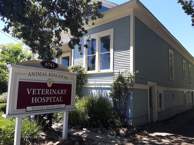 Animal Kingdom Veterinary Hospital photo 4