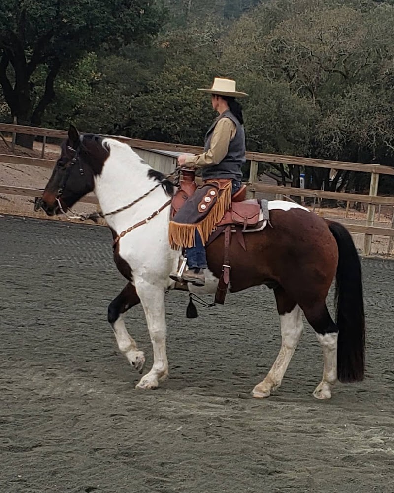 All The King's Horses photo 4