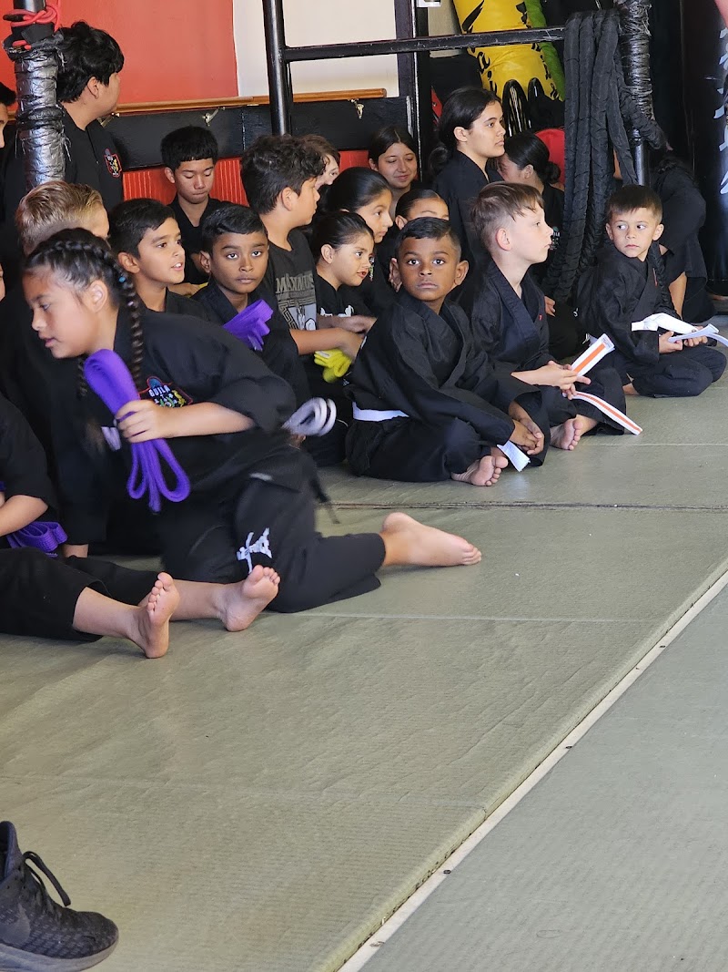 Maximus Combat Sports photo 3