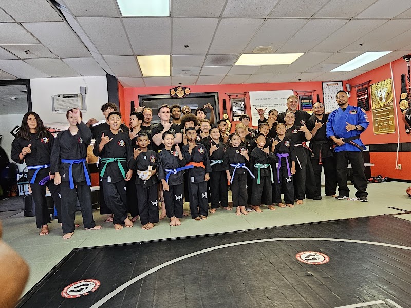 Maximus Combat Sports photo 2