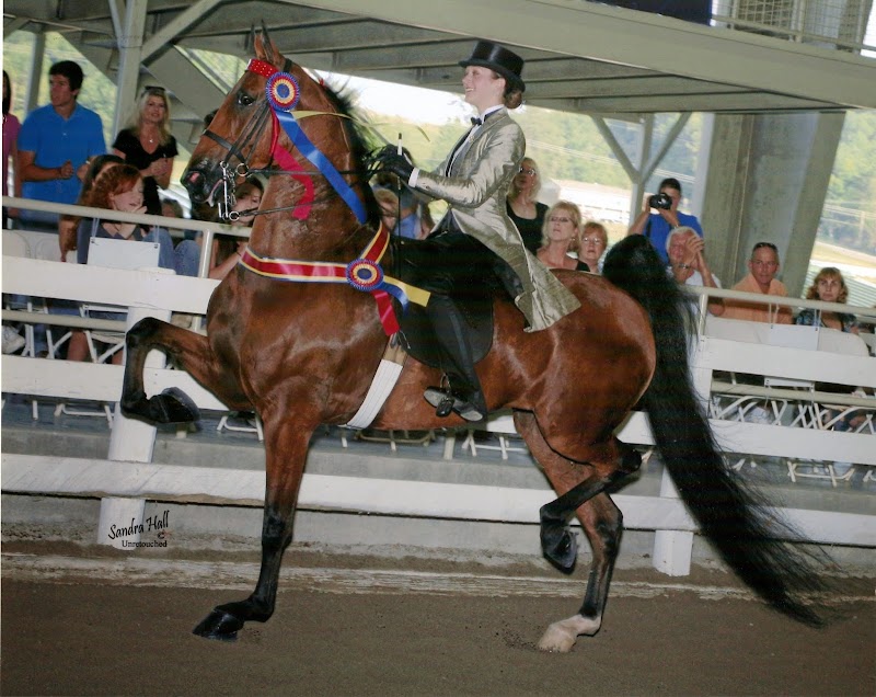 Gilman Stables photo 2