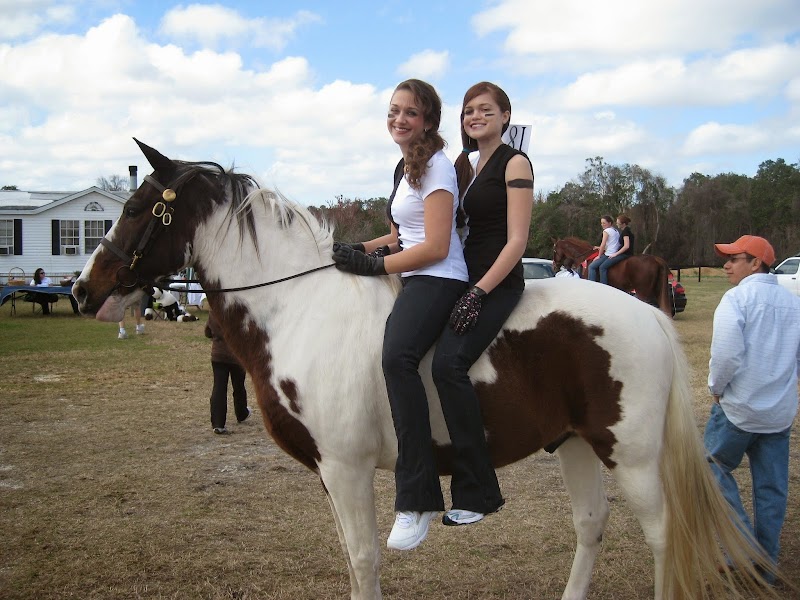 Gilman Stables photo 4
