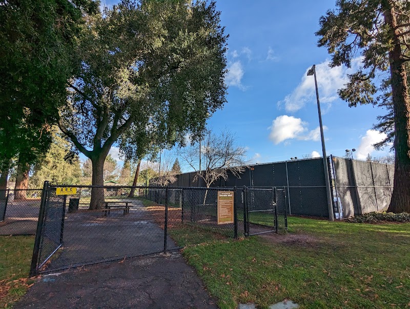 Photo of McKenzie Dog Park