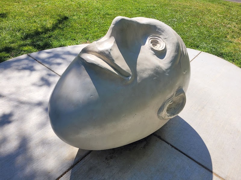 EGGHEAD - Stargazer photo 3