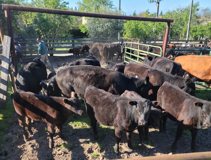 Rosenberger Ranch photo 2
