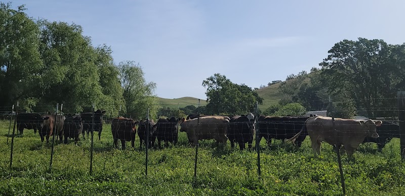 Photo of Rosenberger Ranch
