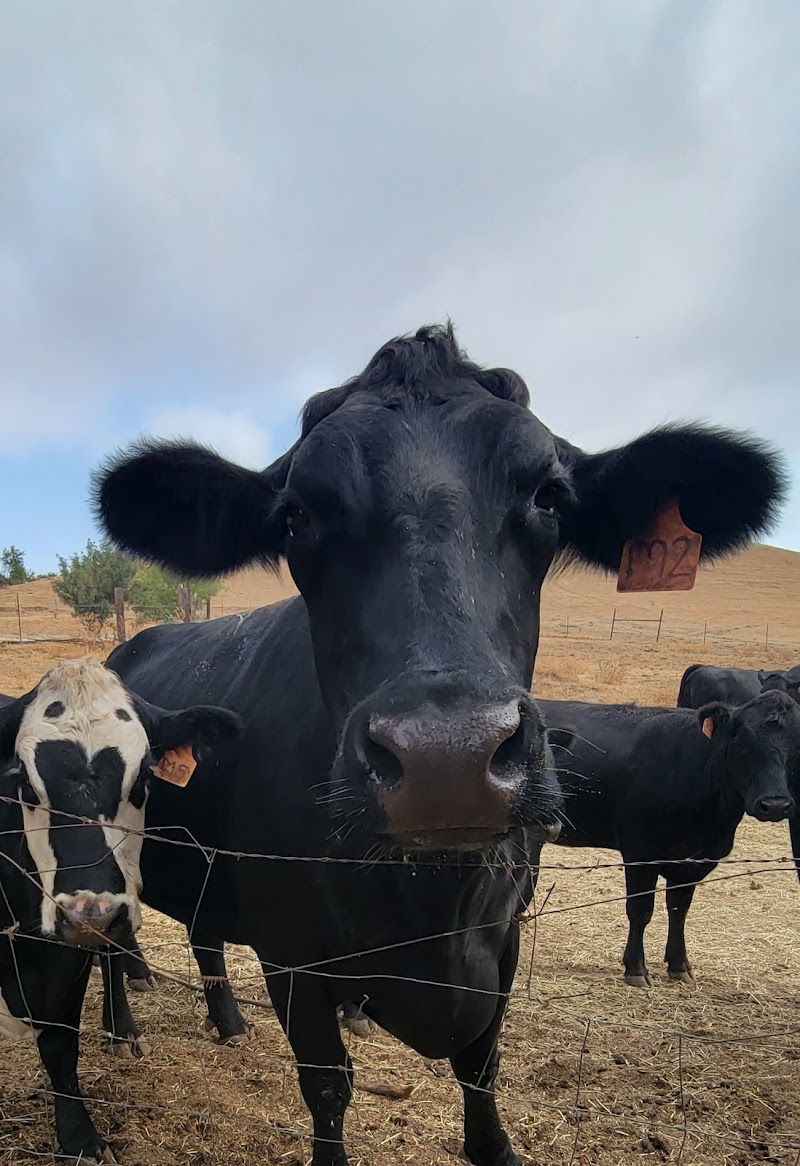 Rosenberger Ranch photo 3