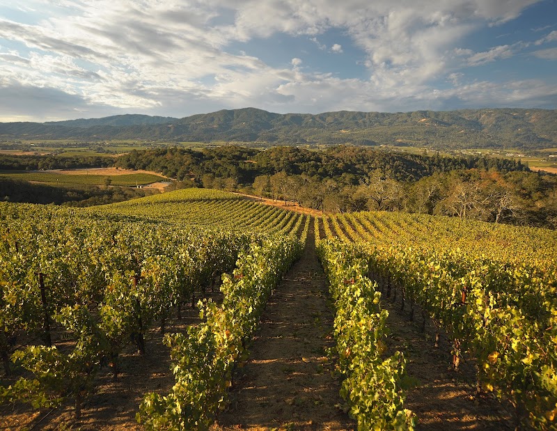 Photo of Merryvale Vineyards