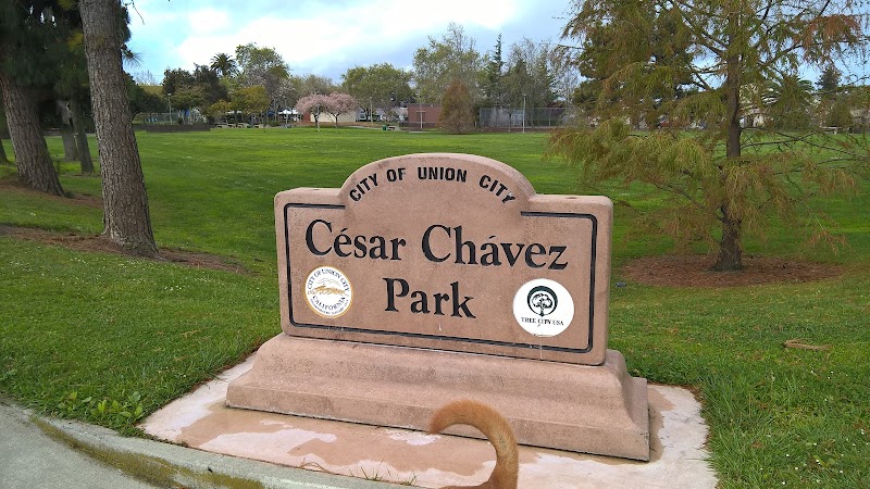Cesar Chavez Park photo 3