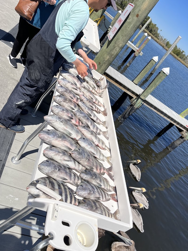High Octane Fishing Charters - Crystal River photo 3