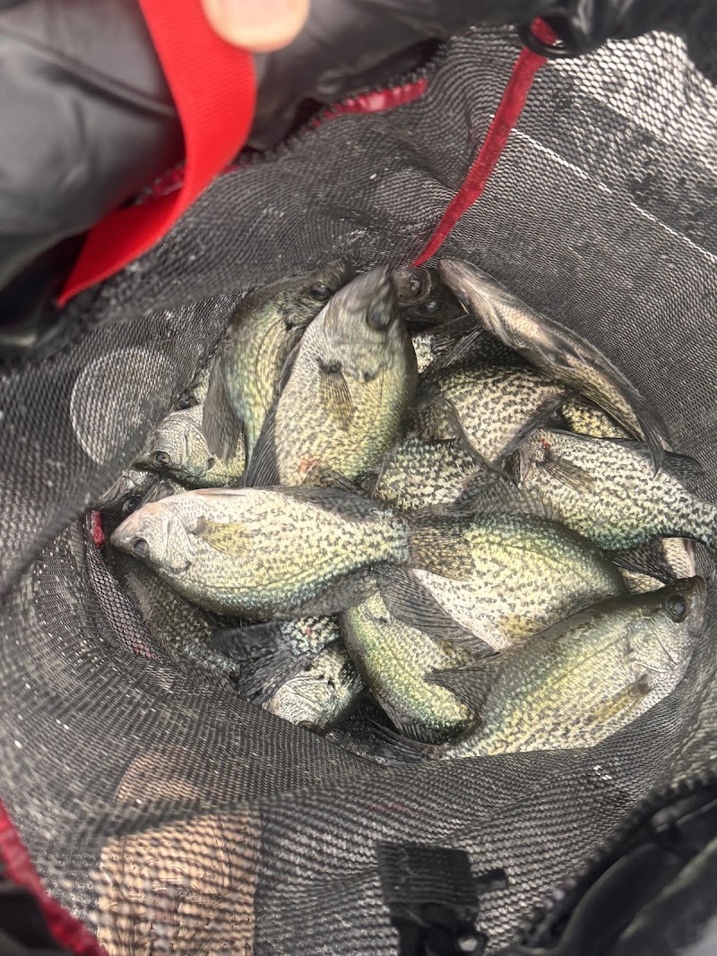 Scales & Tales Outdoors LLC Bass Fishing photo 5