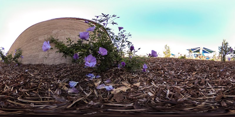 Golden Poppy Park photo 3
