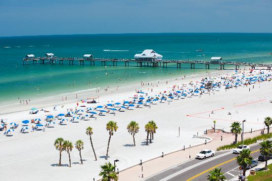 Pier 60 Clearwater photo 3