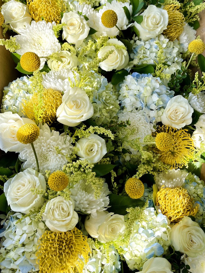 Lasater Flowers photo 5