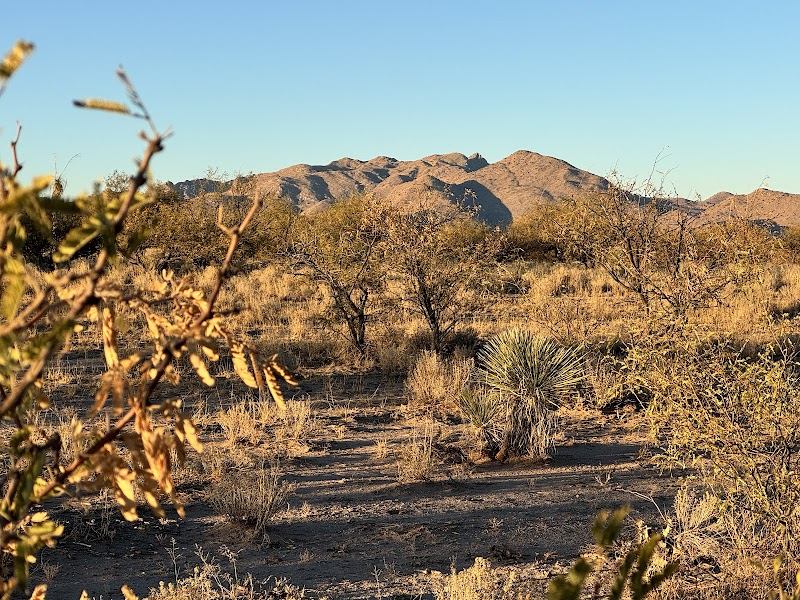 Dispersed Camping State Trust Land photo 4