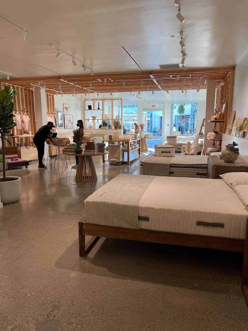 Avocado Green Mattress - Natural & Organic Mattresses - Corte Madera photo 3