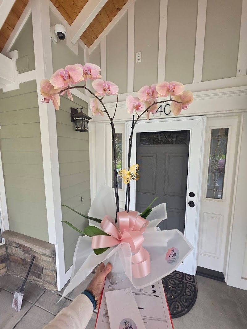 VIOR Floral Art photo 2