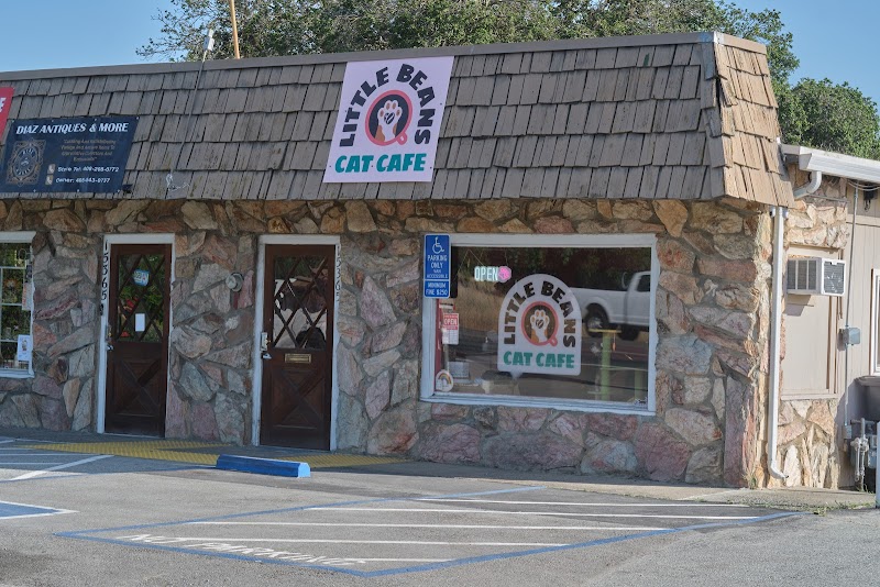 Photo of Little Bean's Cat Cafe