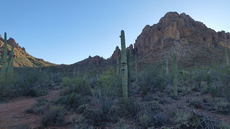 Marana Chamber of Commerce & Visitor Information Center photo 3