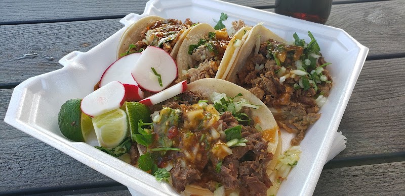 El Coyote photo 2