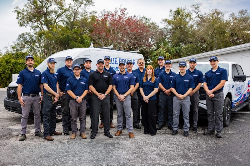 Photo of Blue Collar Electric