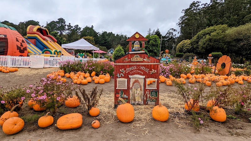 Photo of Pastorino's Pumpkin Farm