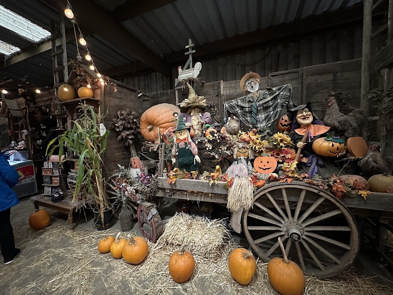 Pastorino's Pumpkin Farm photo 2