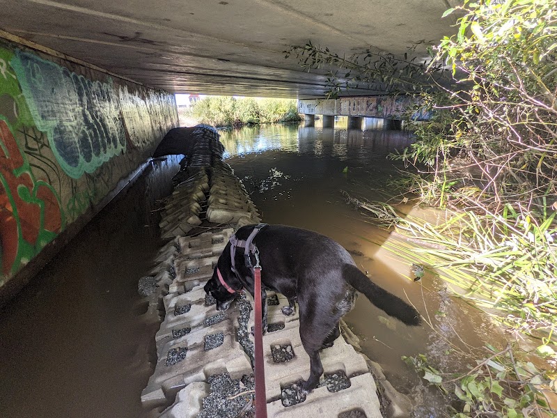 San Pedro Creek photo 5