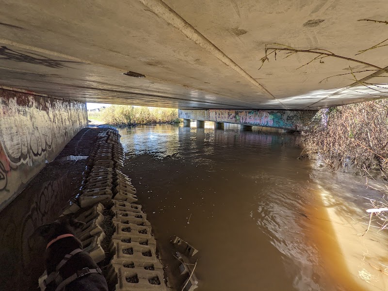 San Pedro Creek photo 2