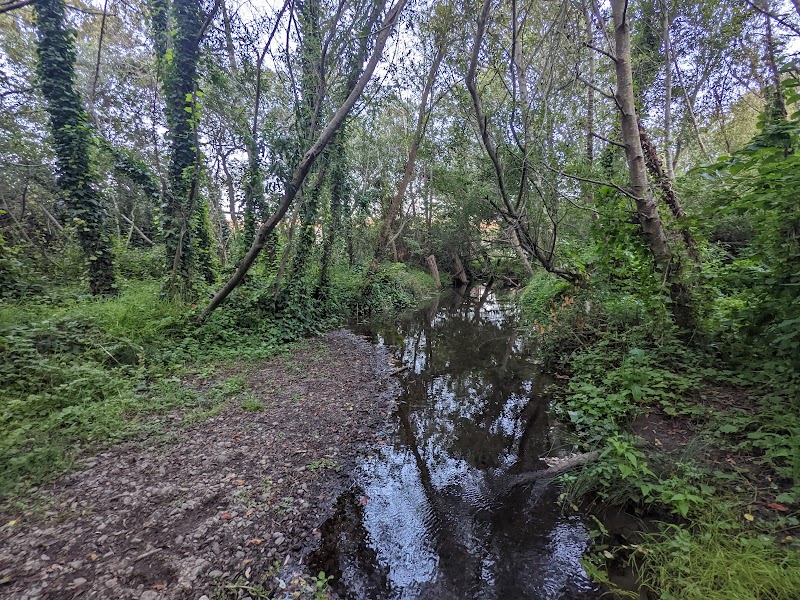 Photo of San Pedro Creek