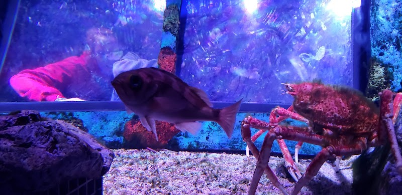 Freshwater Aquarium photo 3