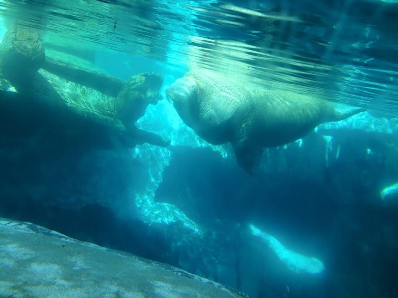 Freshwater Aquarium photo 2