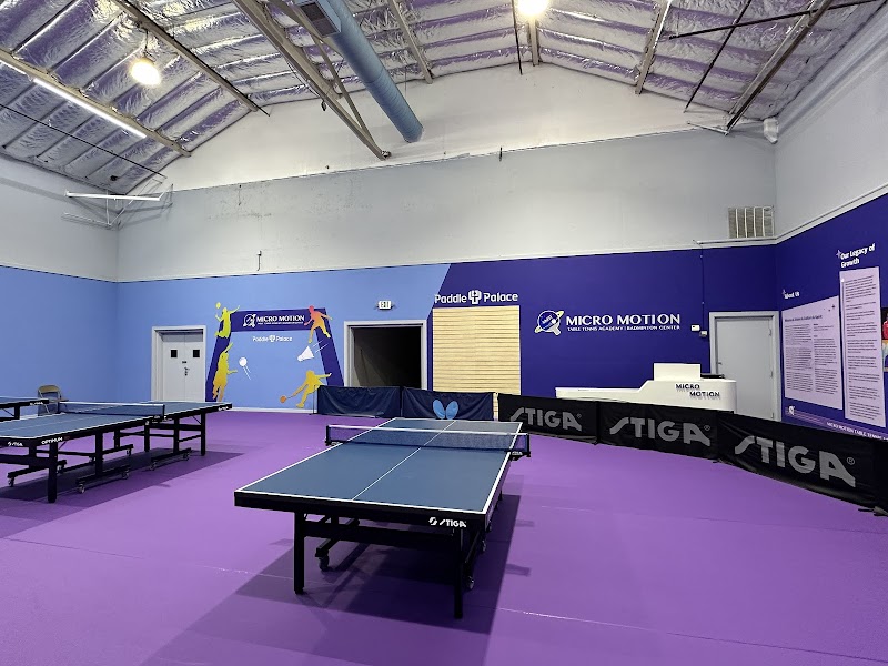 Micro Motion Table Tennis Academy (Alameda) photo 4