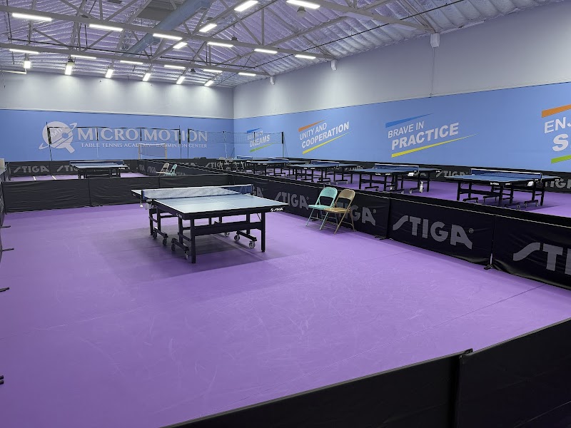 Micro Motion Table Tennis Academy (Alameda) photo 5