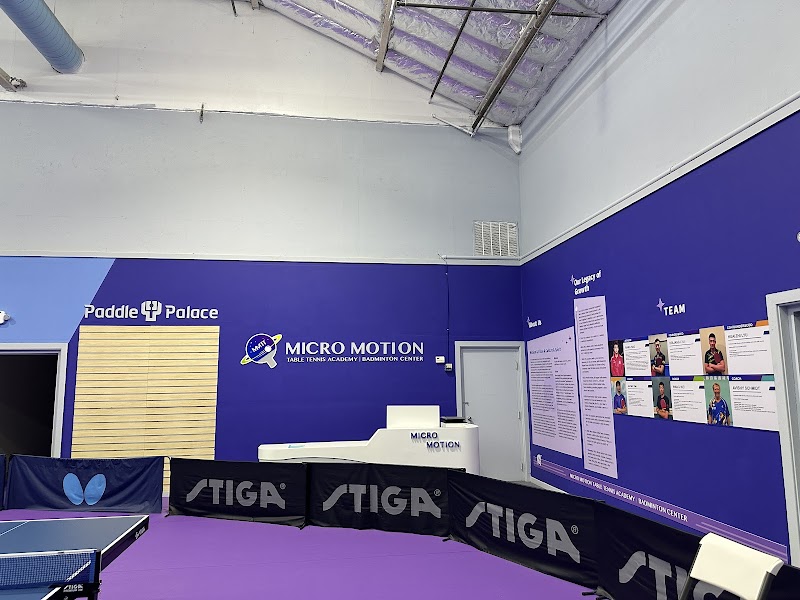 Micro Motion Table Tennis Academy (Alameda) photo 2