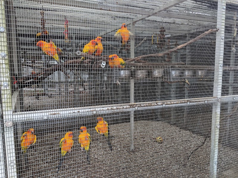 Florida Exotic Bird Sanctuary Inc. photo 5