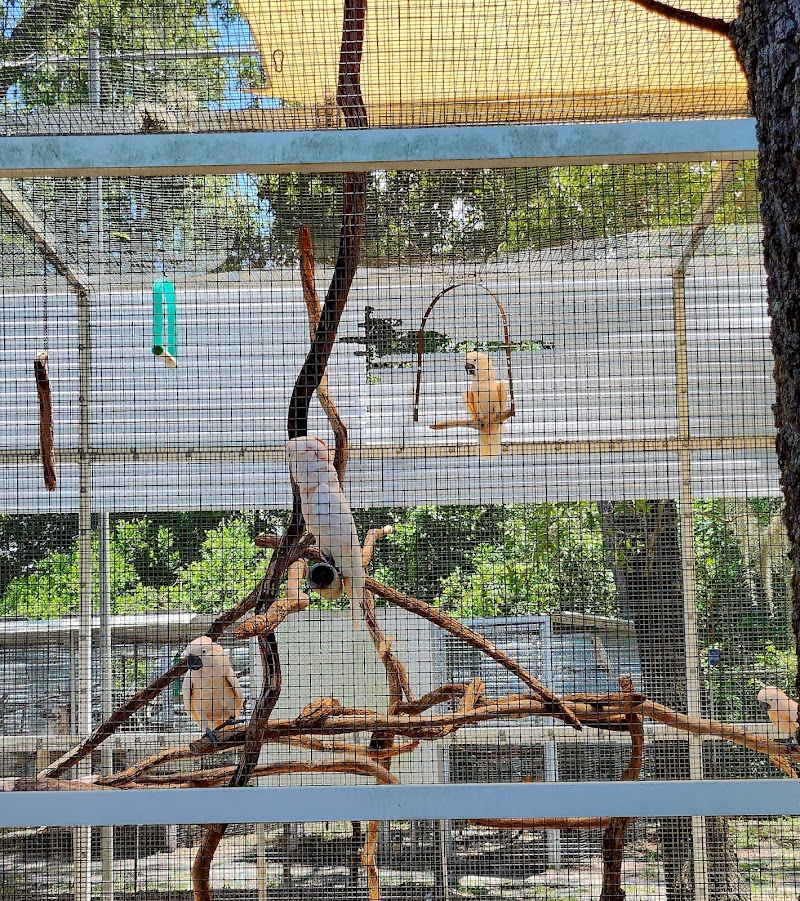 Florida Exotic Bird Sanctuary Inc. photo 3