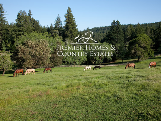 Photo of Premier Homes & Country Estates