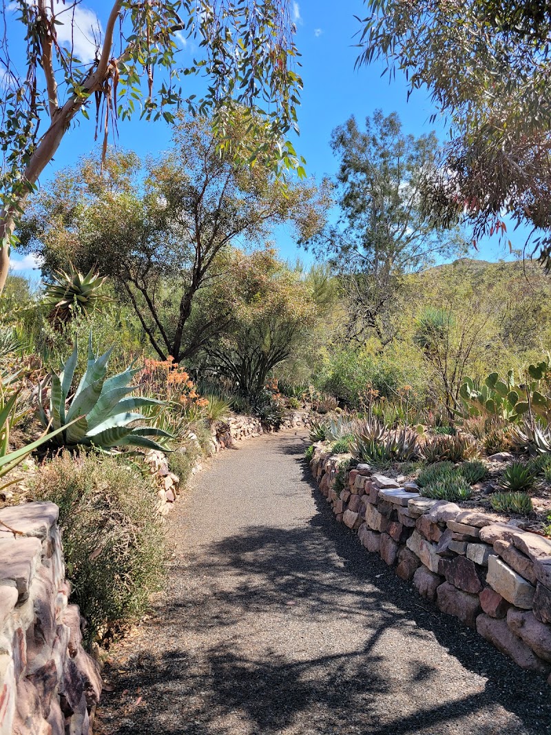 Boyce Thompson Arboretum photo 3