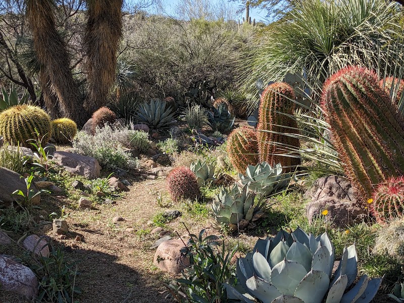 Photo of Boyce Thompson Arboretum