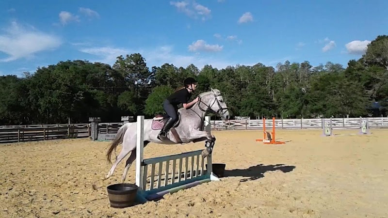Miracle Equestrian LLC photo 2