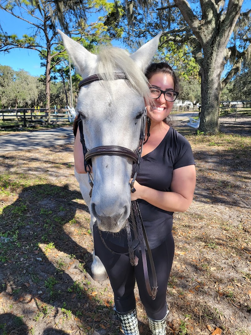 Photo of Miracle Equestrian LLC