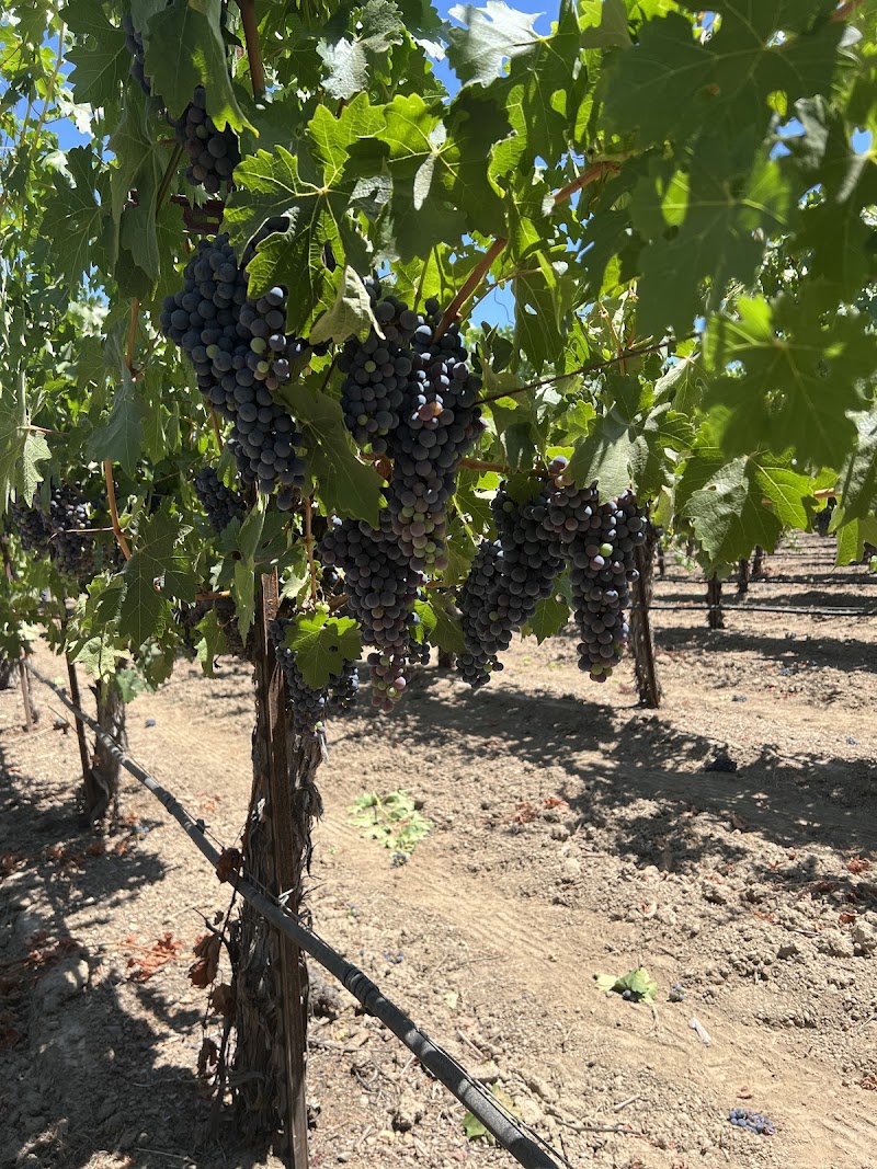 Photo of Wight Vineyard Management, Inc.